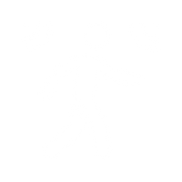 AUTO MOTION DETECTION
